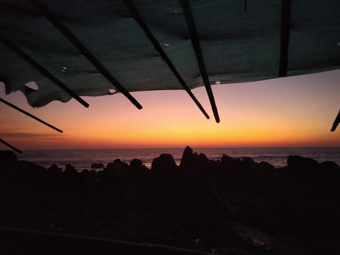 21Coconuts Inn Arambol Exterior foto